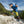 Cargar imagen en el visor de la galería, Bastones Carbonium Alp Speed
