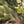 Cargar imagen en el visor de la galería, Bastones Carbonium Alp Speed