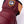Cargar imagen en el visor de la galería, Guantes Mujer Fall Line