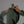Cargar imagen en el visor de la galería, Chaqueta Mujer Fix Hood Waterproof Ripstop