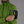 Cargar imagen en el visor de la galería, Polar Hombre Knit Tech Heavy