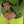 Cargar imagen en el visor de la galería, Polar Hombre Knit Tech Heavy