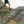 Cargar imagen en el visor de la galería, Zapatilla Hombre Cloudvista Waterproof