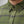 Cargar imagen en el visor de la galería, Camisa Hombre Ovik Twill