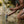 Cargar imagen en el visor de la galería, Filtro Purifier + Bombilla UltraLight Straw