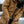Cargar imagen en el visor de la galería, Parka Mujer Nuuk