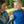 Cargar imagen en el visor de la galería, Botiquín Backyard Adventure Racoon