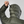 Cargar imagen en el visor de la galería, Chaqueta Hombre Ortles Medium 2 RDS
