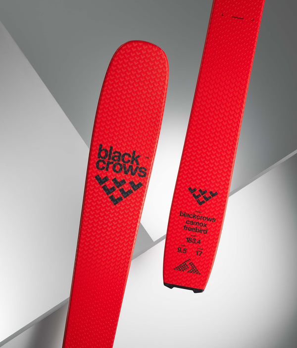Ski Freebird Camox 95