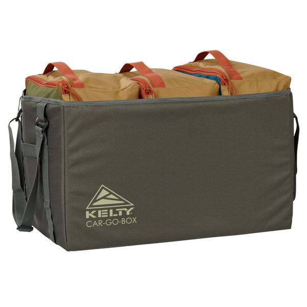 Organizador Car-Go-Box