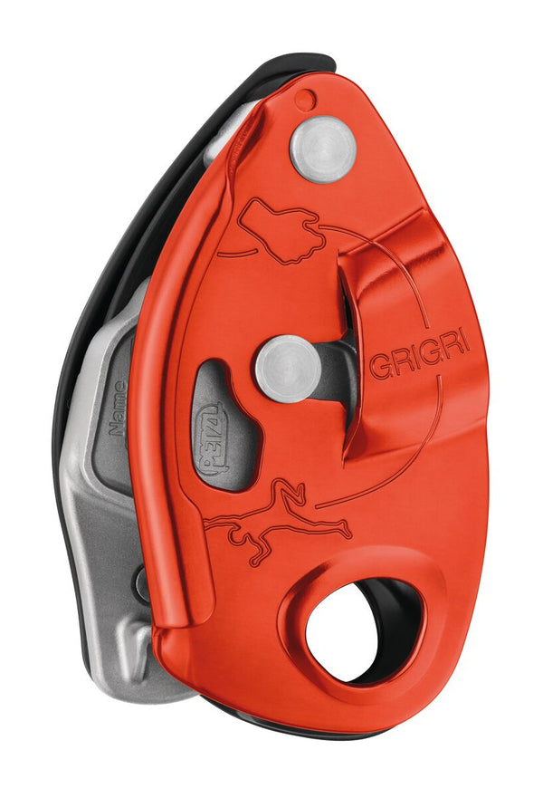 Asegurador Grigri®