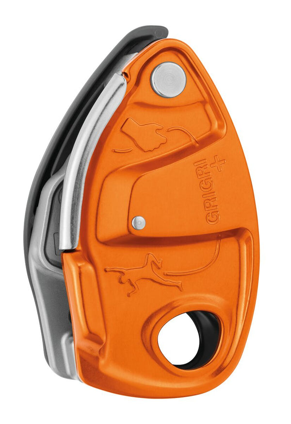 Asegurador Grigri®+
