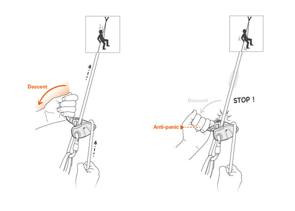 Asegurador Grigri®+