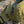 Cargar imagen en el visor de la galería, Banano Fitz
