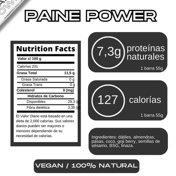 Barrita Energética Natural Paine Power