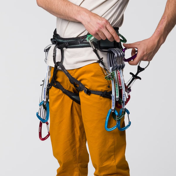 Cinta Express Wildwire