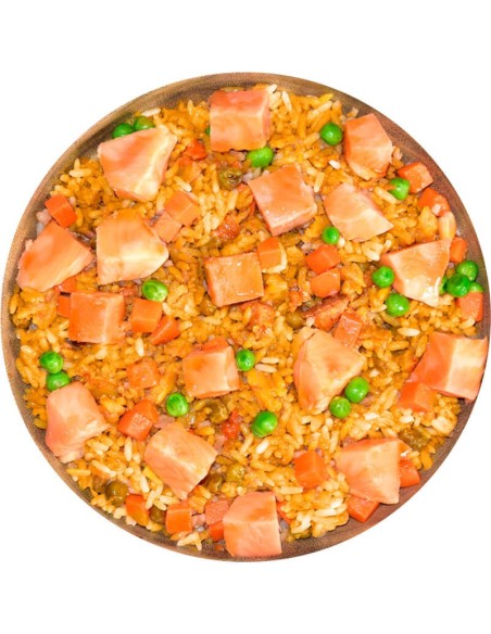 Arroz con Salmón Teriyaki
