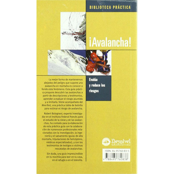 Avalancha!