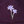 Cargar imagen en el visor de la galería, Jockey Jacaranda Dad
