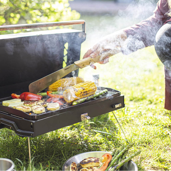 Parilla Kuchoma Stove