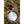 Cargar imagen en el visor de la galería, Set de Ollas CampFire Cookset S.S. Small
